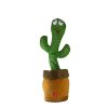 کاکتوس سخنگو مدل Dancing cactus