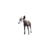 گوزن آفریقایی مدل animal world کد 5-94826